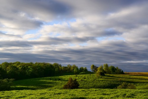 Lush green hills under a cloudy sky, with trees dotting the landscape and soft light illuminating the scene.