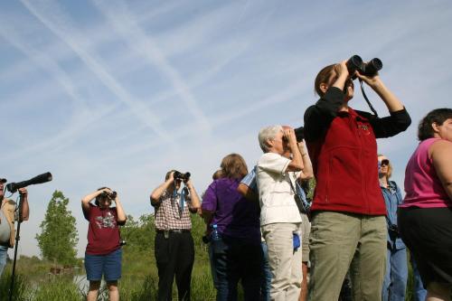 A group of people outdoors, using binoculars to observe birds or wildlife against a clear sky.