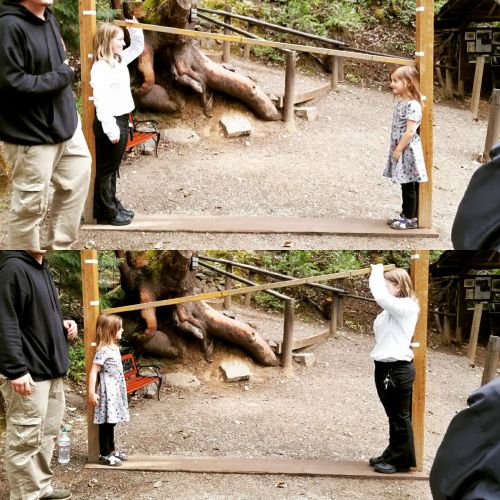 Two girls stand next to a tree, one raising her hand. A man in a black hoodie is nearby, with a rustic setting in the background.