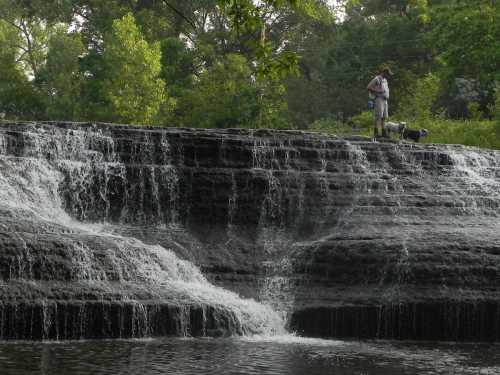 A person stands near a waterfall with a dog, surrounded by lush greenery. Water cascades over rocky ledges.