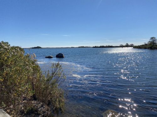 A serene lake scene with sparkling water, rocks, and lush greenery under a clear blue sky.