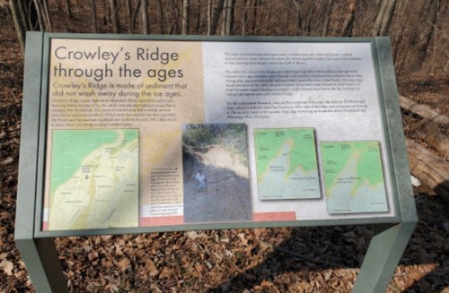 Informational sign about Crowley's Ridge, detailing its geological history and significance, surrounded by trees.