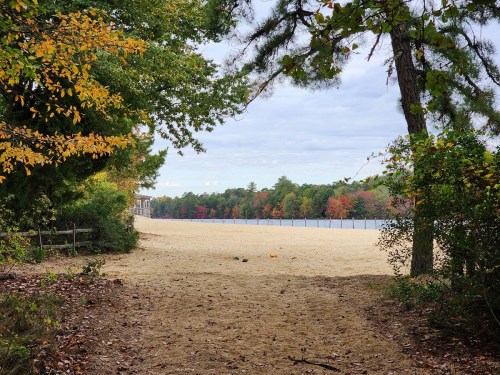 A sandy path leads to a lake, framed by trees with autumn foliage in vibrant colors.