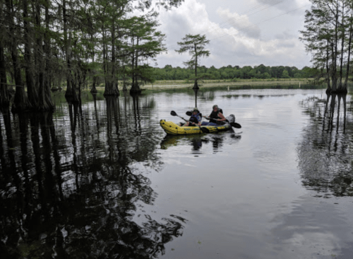Two people kayak on a calm, reflective lake surrounded by cypress trees under a cloudy sky.