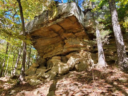 A large rock formation stands among trees, with sunlight filtering through the leaves in a forested area.