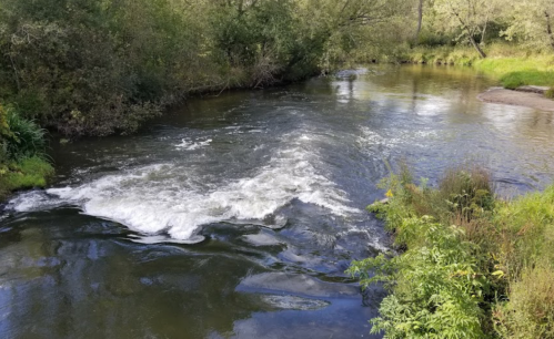 A serene river flows through lush greenery, with gentle ripples and a small wave creating a peaceful natural scene.