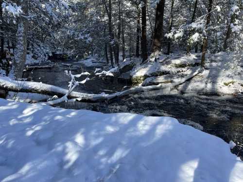 A serene winter scene with a flowing stream surrounded by snow-covered trees and a blanket of fresh snow on the ground.