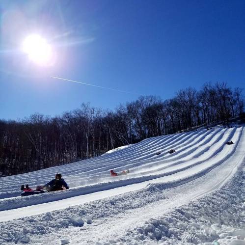People sledding down a snowy hill on a sunny day, with trees in the background and clear blue skies.