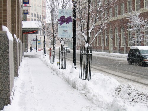 A snowy city sidewalk lined with trees, a street sign, and a parked car, with snow falling gently.