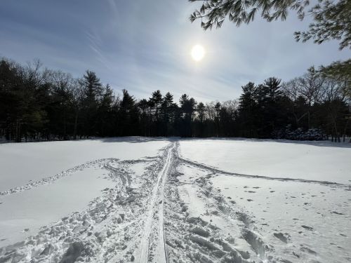 A snowy landscape with ski tracks leading through a field, surrounded by trees under a bright sun.