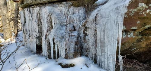 Icicles hanging from a rock formation, surrounded by snow and bare branches in a winter landscape.