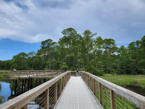 A wooden boardwalk leads through a lush green landscape with tall trees and a calm waterway under a blue sky.