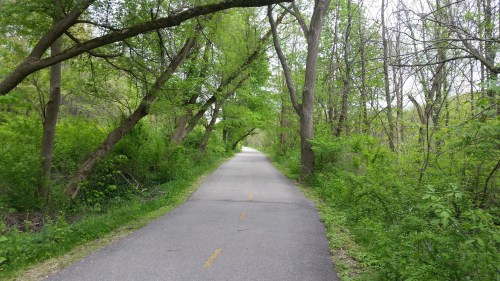 A serene, tree-lined path with lush green foliage on either side, inviting for a peaceful walk or bike ride.