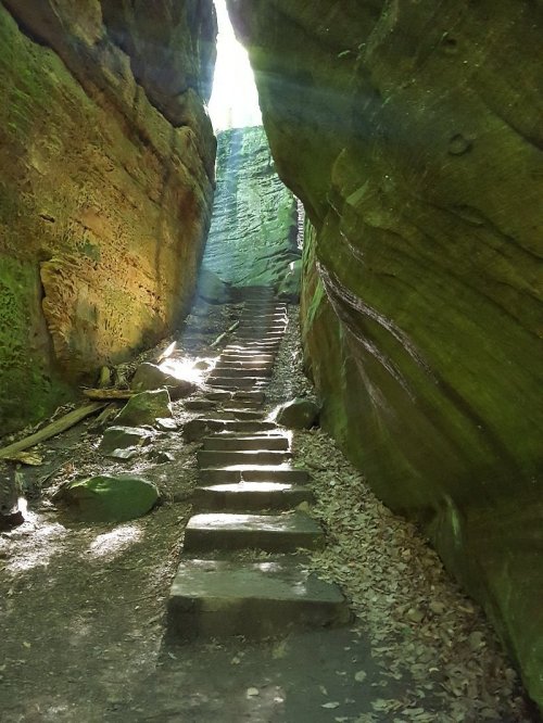 A narrow stone staircase leads up through a rocky canyon, illuminated by sunlight filtering through the trees above.
