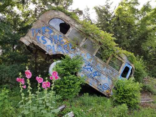 An abandoned, graffiti-covered trailer partially hidden by greenery, with pink flowers in the foreground.