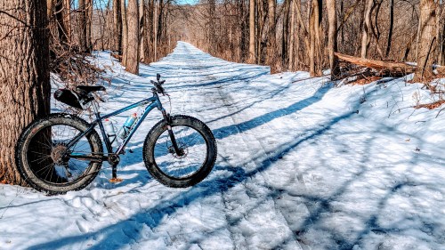 A fat bike rests on a snowy trail surrounded by trees, with clear blue skies above.