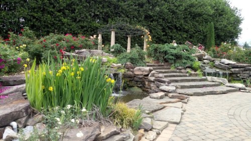A serene garden with colorful flowers, a stone pathway, and a small waterfall surrounded by lush greenery.