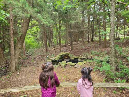 Two children stand on a wooden path, looking at a small pond surrounded by trees in a lush forest.