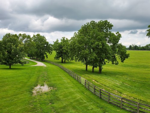A winding path through a lush green field, lined with trees and a wooden fence under a cloudy sky.