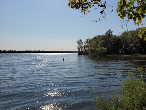 A serene lake scene with sparkling water, trees lining the shore, and a clear blue sky.