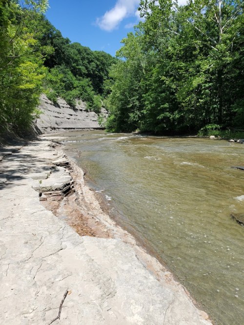 A serene riverbank surrounded by lush greenery and rocky cliffs under a clear blue sky.