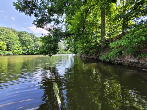 A serene river scene surrounded by lush green trees, with calm water reflecting the sky and foliage.