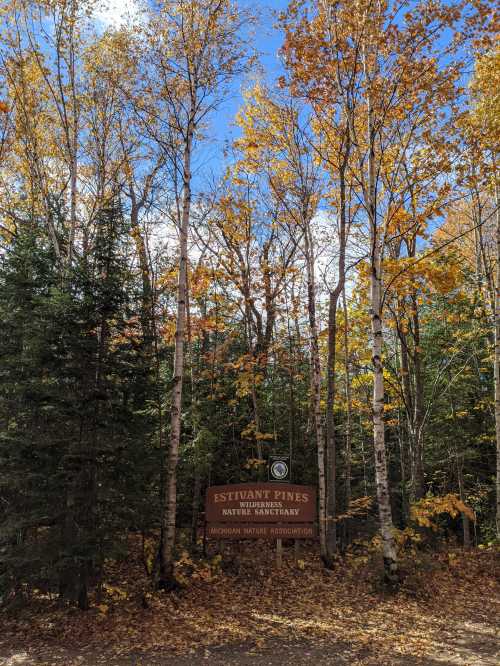 A sign for Estivant Pines Nature Sanctuary surrounded by trees with autumn leaves under a blue sky.