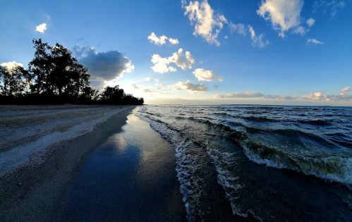 A serene beach scene at sunset, with gentle waves lapping at the shore and trees silhouetted against the sky.