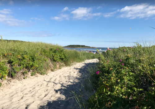 A sandy path leads through tall grass to a beach with gentle waves and a clear blue sky.