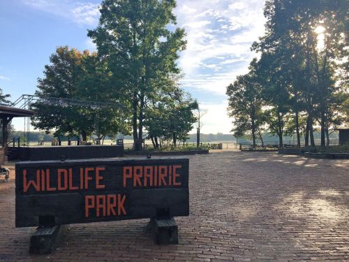 Sign for Wildlife Prairie Park surrounded by trees and a clear sky, with a peaceful landscape in the background.