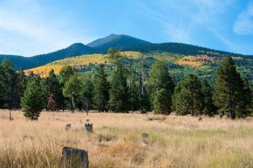 A scenic view of a mountain with colorful autumn foliage, surrounded by green trees and a grassy field.
