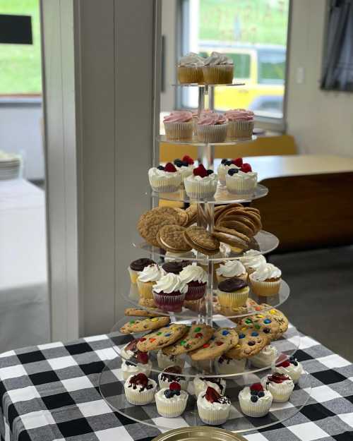 A tiered dessert stand filled with various cupcakes and cookies, set on a checkered tablecloth.