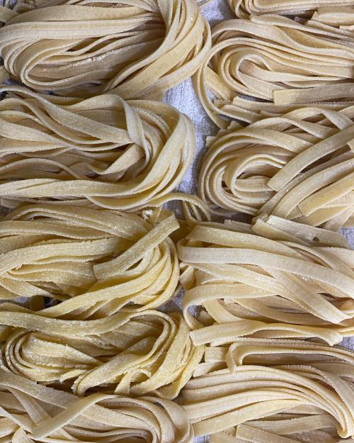 Freshly made fettuccine pasta arranged in neat, overlapping bundles on a textured surface.