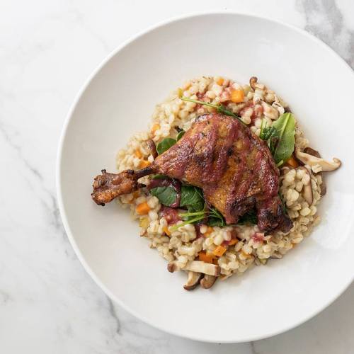 A plate of risotto topped with a seasoned chicken leg and garnished with greens and mushrooms.