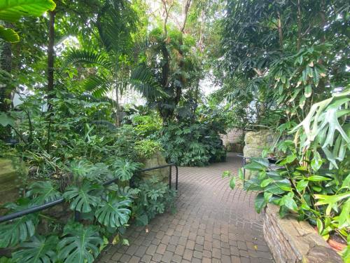 Lush greenery surrounds a winding pathway in a tropical garden, with dense plants and trees creating a serene atmosphere.