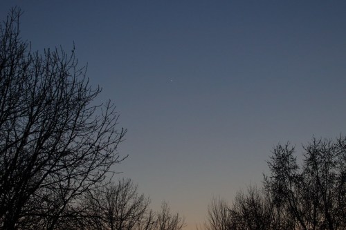 Silhouetted trees against a twilight sky with a bright star visible in the upper center.