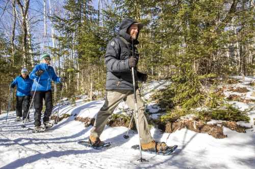 Three people snowshoeing through a snowy forest, surrounded by trees on a sunny winter day.