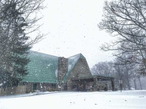 A snow-covered building with a green roof surrounded by trees, heavy snowfall creating a wintery scene.