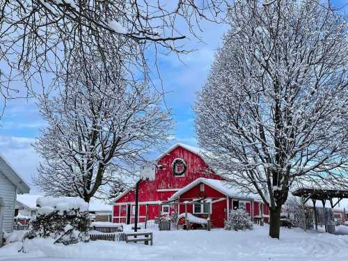 A red barn surrounded by snow-covered trees and a winter landscape under a blue sky.