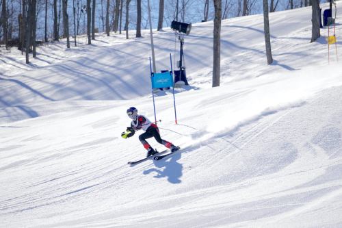 A skier races down a snowy slope, navigating between gates in a winter landscape with trees in the background.