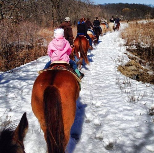 A group of people on horseback riding along a snowy trail in a wooded area. A child in a pink jacket leads the way.