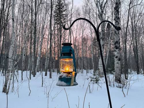 A glowing lantern hangs in a snowy forest at dusk, surrounded by bare trees and a soft pink sky.
