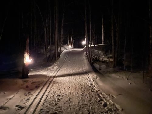 A snow-covered trail winding through dark trees, illuminated by soft lights in the distance.