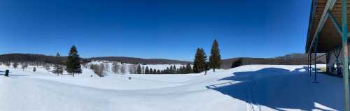 A panoramic view of a snowy landscape with trees and hills under a clear blue sky.