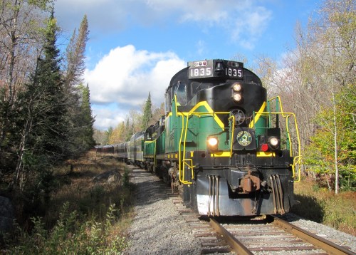 A green and yellow train engine on tracks surrounded by trees and a blue sky with clouds.