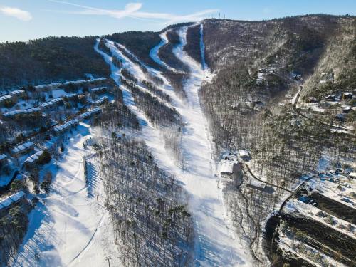 Aerial view of a snowy ski resort with winding slopes and tree-covered hills under a clear blue sky.