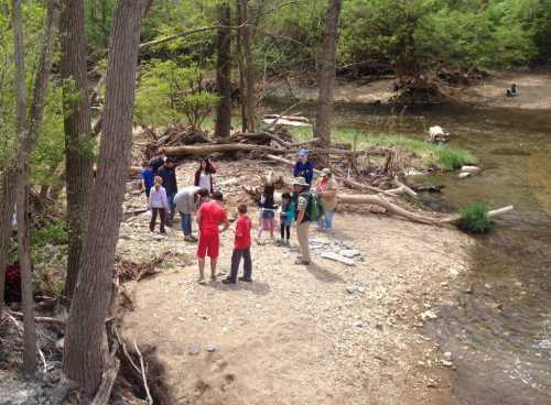 A group of people gathered by a riverbank, engaging in activities among trees and natural debris.