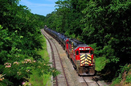 A red and yellow train travels along a track surrounded by lush green trees under a clear blue sky.