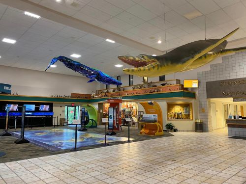 Interior of a museum featuring large hanging models of a whale and a prehistoric reptile, with interactive displays below.