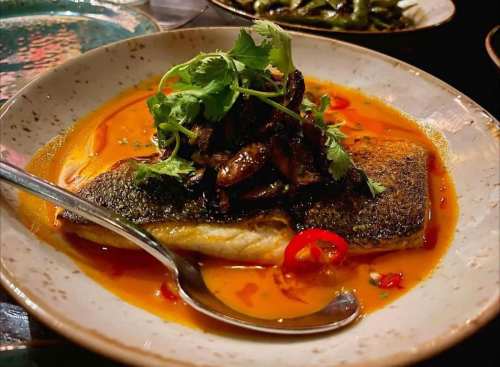 A beautifully plated dish featuring salmon topped with herbs and mushrooms in a vibrant sauce, garnished with chili.